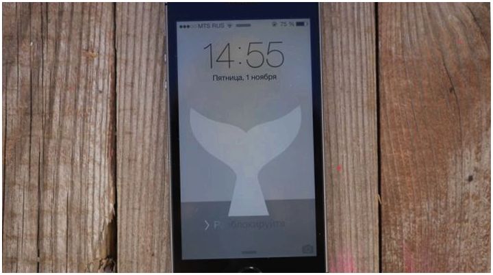 "Эс" как доллар. Обзор смартфона iPhone 5s