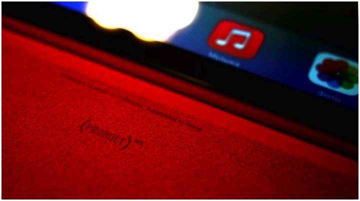 Как не пожалеть о покупке iPad: 7 советов (пожалеть, покупка, ipad, совет, iPad mini, Smart Case) Как не пожалеть о покупке iPad: 7 советов