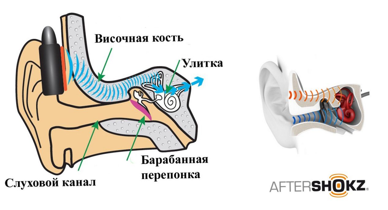 Уши на свободе: обзор беспроводной гарнитуры AfterShokz Trekz Titanium (свобода, обзор, беспроводной, гарнитур, aftershokz) Уши на свободе: обзор беспроводной гарнитуры AfterShokz Trekz Titanium
