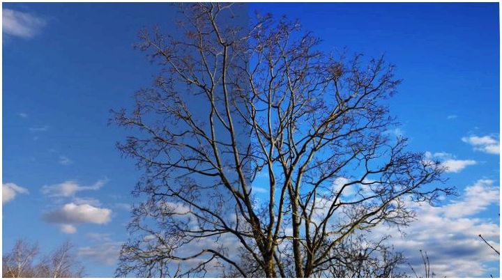 Фототест Huawei P20 Pro: что умеет смартфон с тройной камерой (фототест, huawei, уметь, смартфон, тройной, камера) Фототест Huawei P20 Pro: что умеет смартфон с тройной камерой