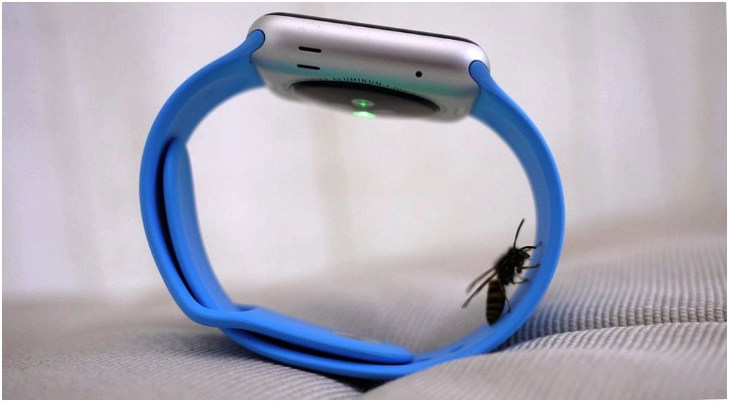 Месяц с Apple Watch: зачем часам "ум"?
