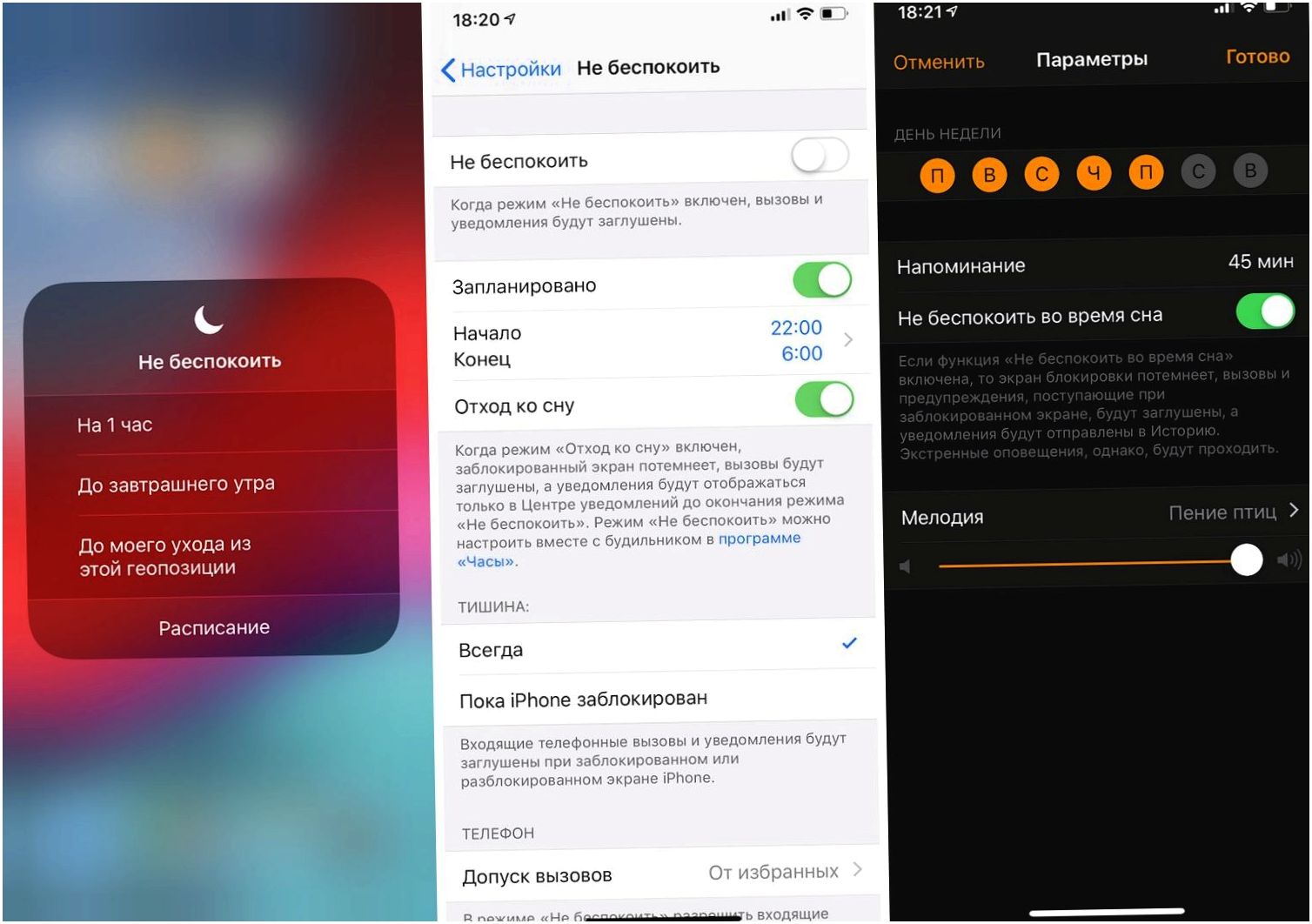 Обзор iOS 12: и лучше, и быстрее (обзор, лучше, быстрый, iPhone iPhone) Обзор iOS 12: и лучше, и быстрее