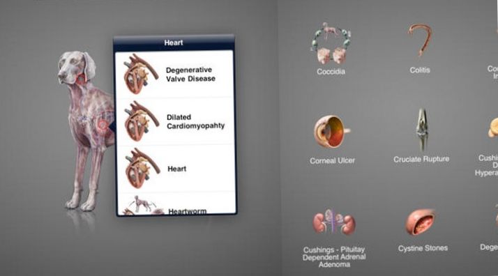 Программы люкс. Самые дорогие приложения для iPhone и iPad (программа, люкс, дорогой, приложение, длить) Программы люкс. Самые дорогие приложения для iPhone и iPad