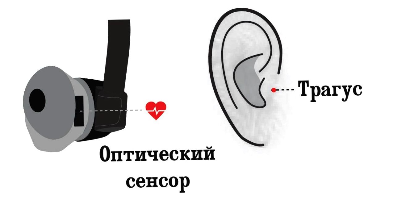 Обзор JBL Under Armour Sport Wireless Heart Rate: в ритмах сердца (обзор, armour, sport, wireless, heart, rate) Обзор JBL Under Armour Sport Wireless Heart Rate: в ритмах сердца