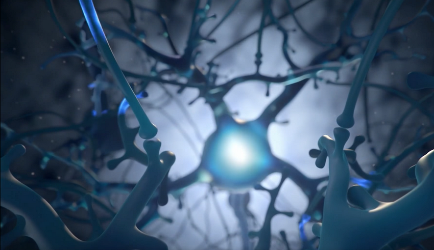 Что известно о новом мозговом имплантате, испытанном Neuralink?
