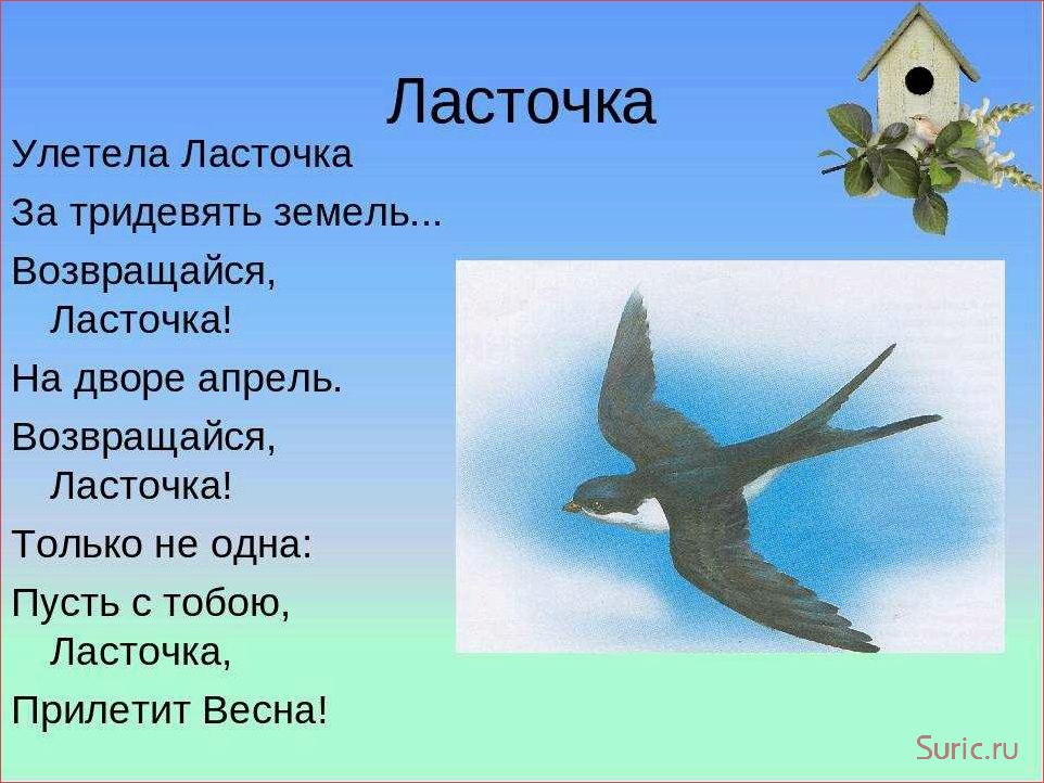 Ласточка символ чего