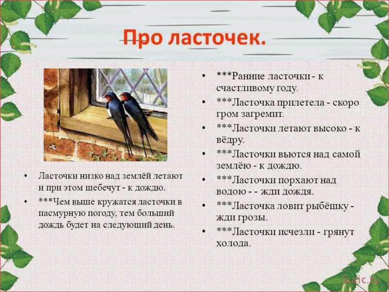 Ласточка символ чего
